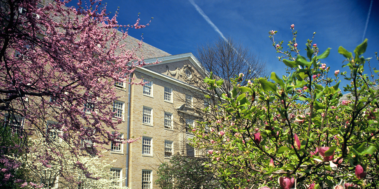 Warren Hall in spring