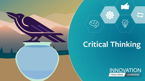 Innovation Project: Critical Thinking