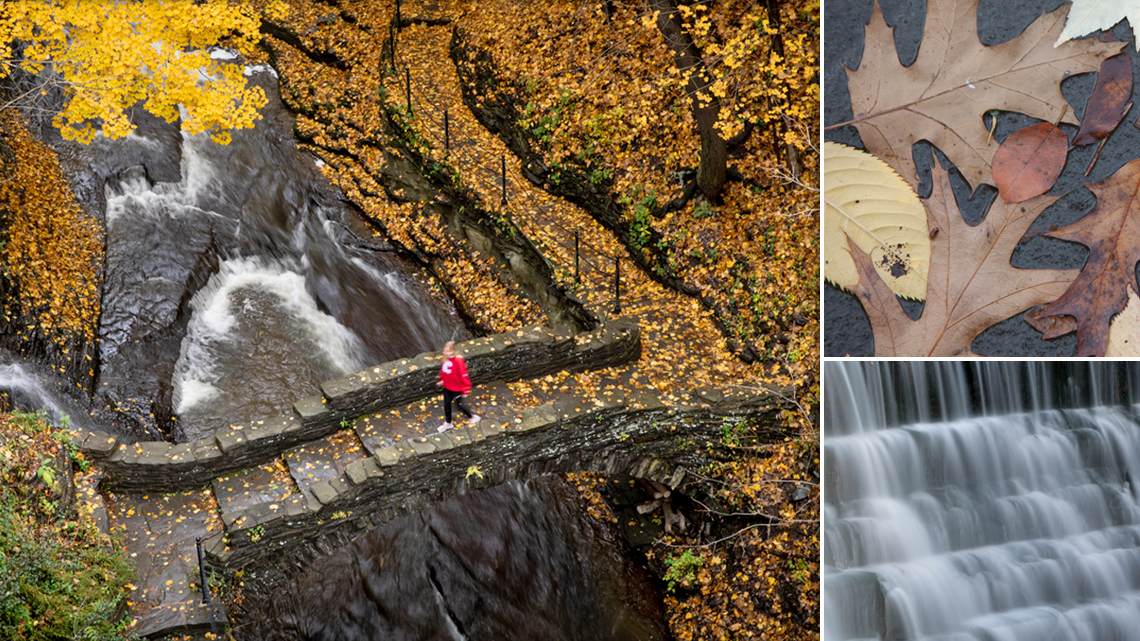 A student in Cascidilla Gorge crossing the foot bridge, autumn leaves, and Ithaca Falls