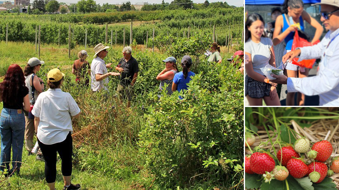 Marvin Pritts and his students at the berry farms