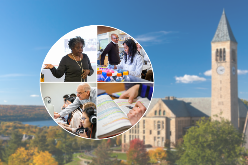 Diverse Classrooms at Cornell