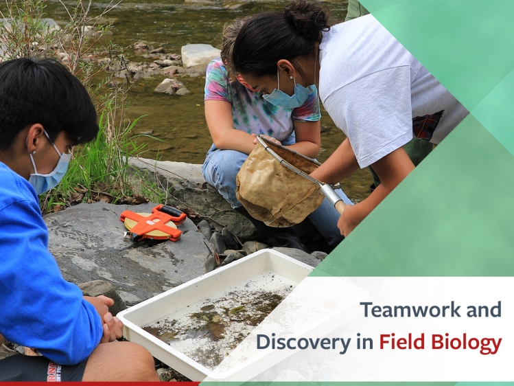 Teamwork & discovery in field biology intro card - students working in stream