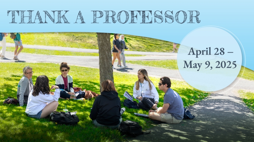 students sitting together on a lawn