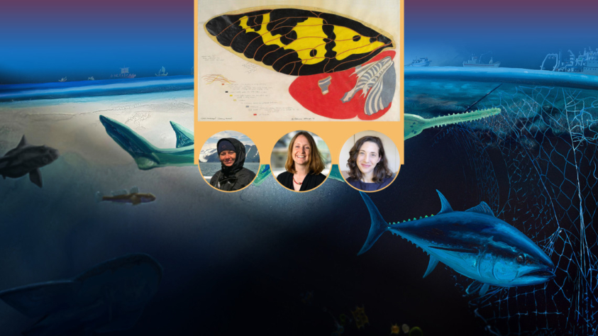 Picture of three faculty panel speakers mentioned in the article