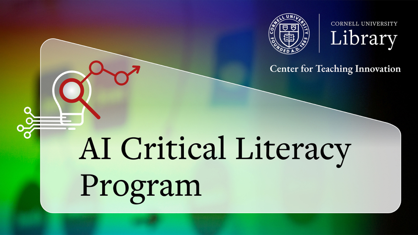 decorative image that says "AI Critical Literacy Program" 