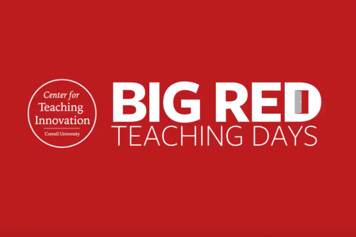 Big Red Teaching Days logo