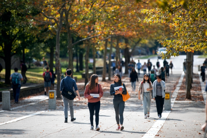 A group of students walking to class