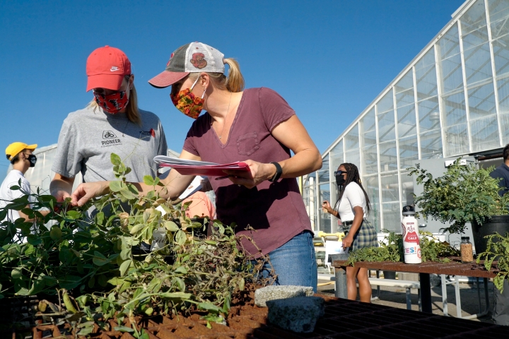 TA assisting student in outdoor plant science course