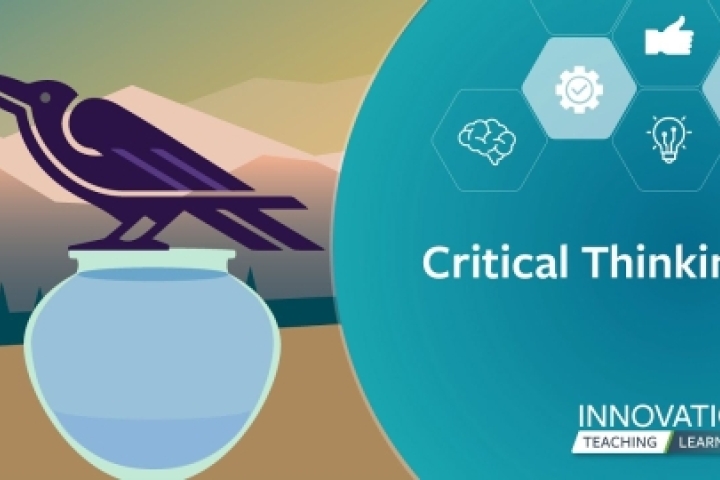 Innovation Project: Critical Thinking