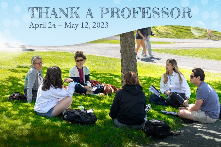 Students sit under a tree in spring