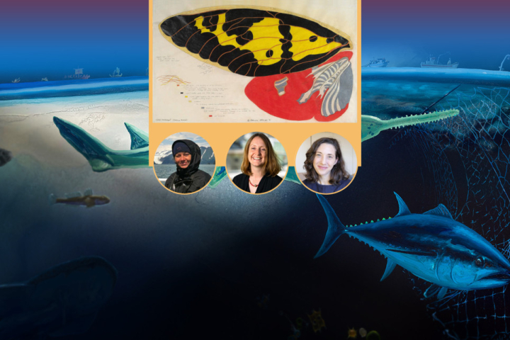 Picture of three faculty panel speakers mentioned in the article